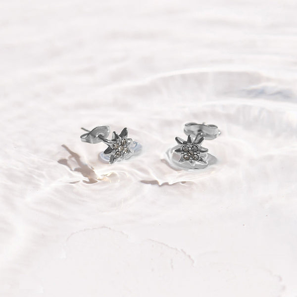 North Star Crystal Studs