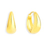 Teardrop Small Curve Hoop Earrings